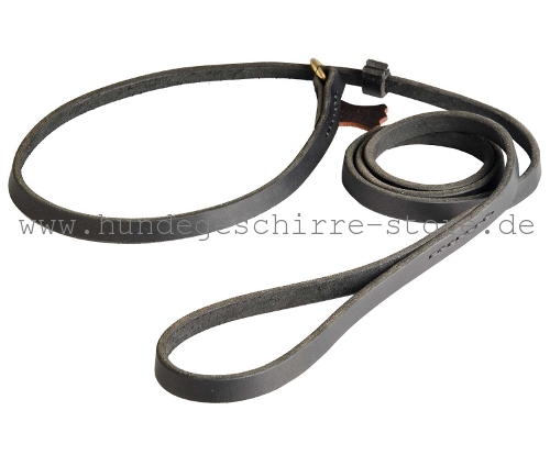 Comfortable dog leash leather