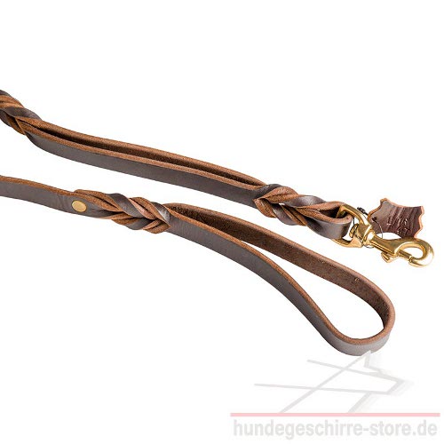 braided leather dog leash