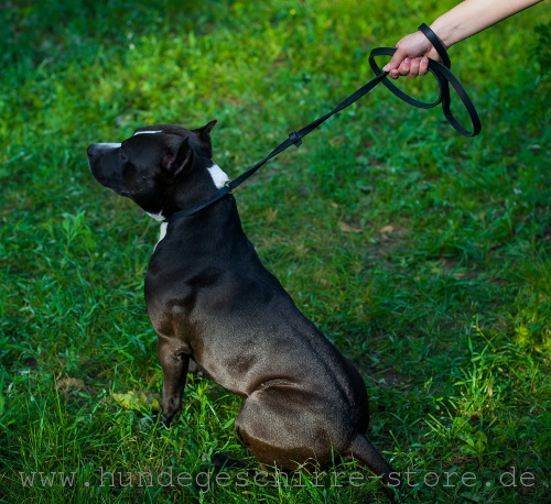 
Leather dog leash, unique