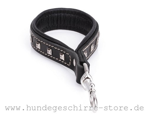 unique leather lead for dogs