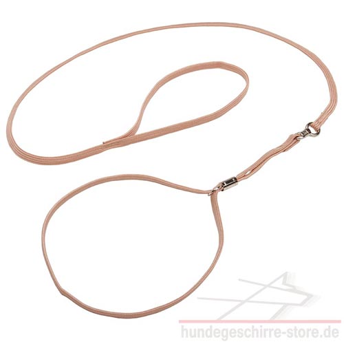 nylon leine halsband Hunde qualität