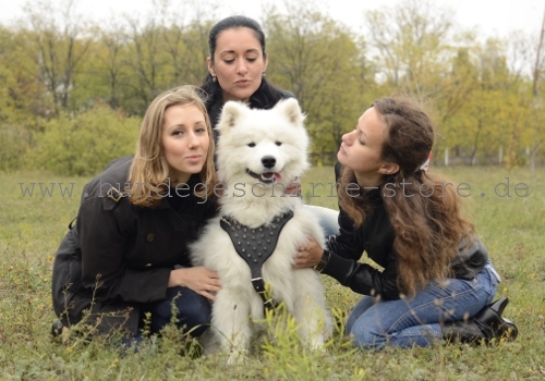 Logos für K9 Brustgeschirr, K9 Hundegeschirr Logos