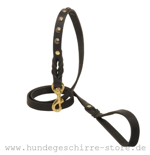 Leder-Hundeleine mit Felchten Dekor und Messing Haken