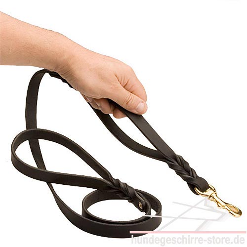 dog leash 2 handles buy