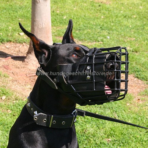 Dobermann Hundemaulkorb verstellbar