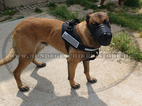 Malinois Nylon Maulkorb