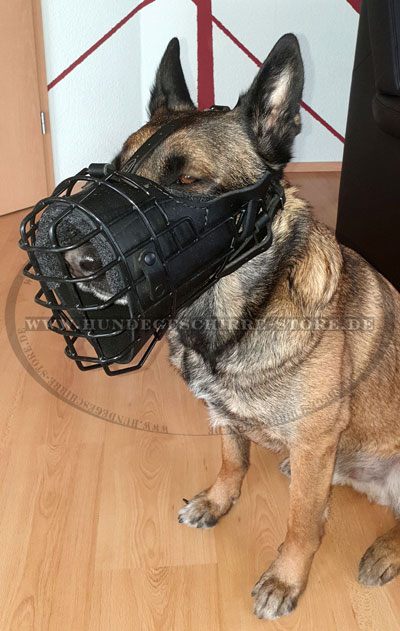 Malinois Drahtmaulkorb für Agilität Training kaufen