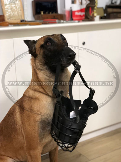 Gummierter Maulkorb für Malinois kaufen