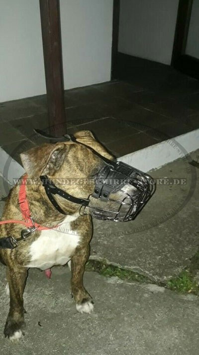 Metall Maulkorb für großen Hund kaufen