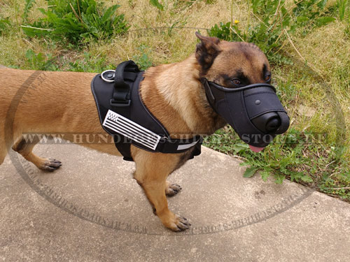 Malinois Nylon Maulkorb