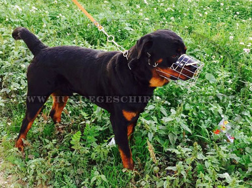 Draht Maulkorb für Rottweiler