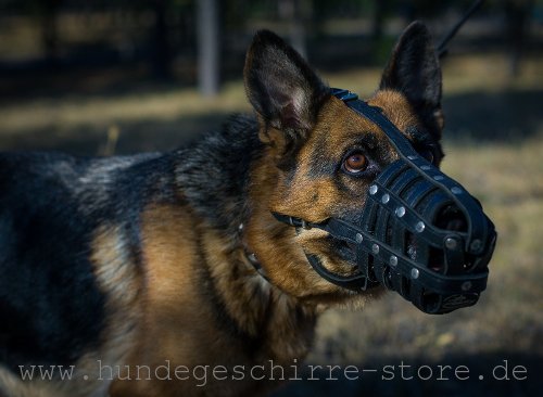 Safe leather muzzle best ventilated