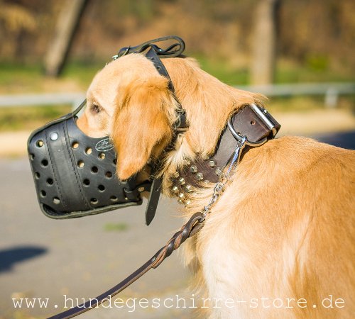 Leather muzzle strong