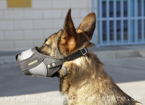 nylon und leather Muzzle stylish