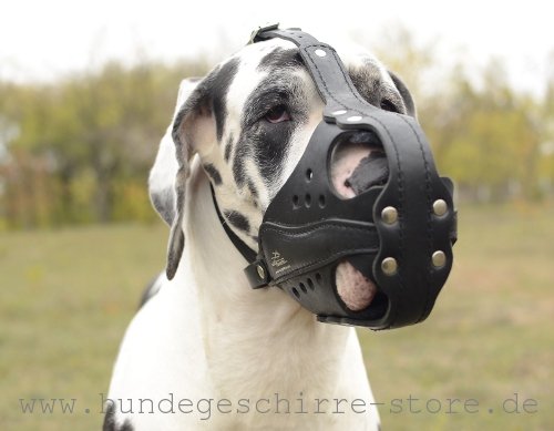 Leather muzzle adjustable