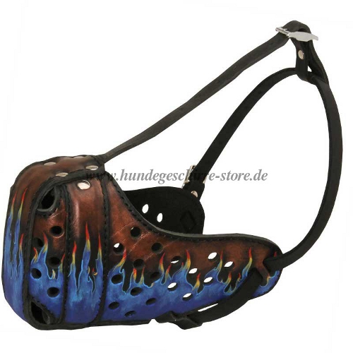 dog a muzzle leather leather blue flame