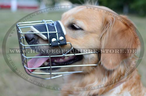 Hunde Maulkorb mit perfekter Luftzirkulation