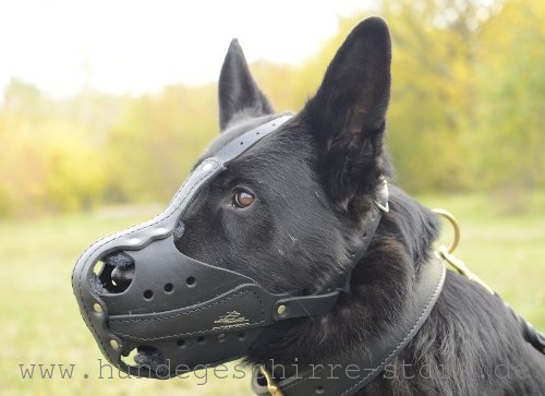 Muzzle Leather padding