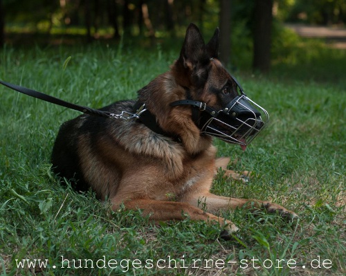 Metal muzzle for dog