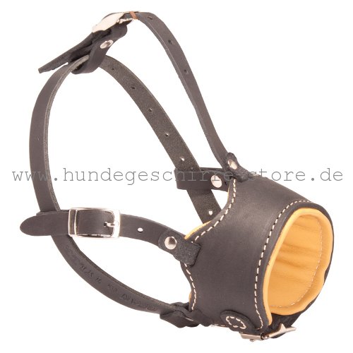 Leather Muzzle napa padded