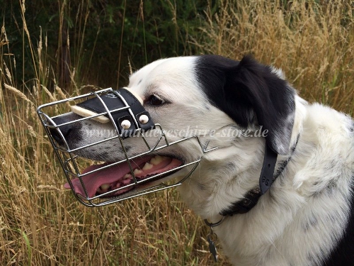 jagdhund drahtmaulkorb kaufen