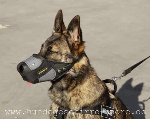 Muzzle for dog stylish