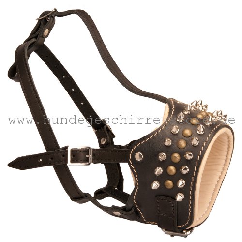 An original leather muzzle