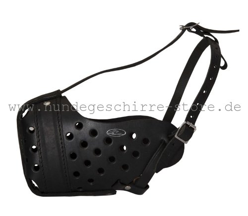 Safe leather muzzle