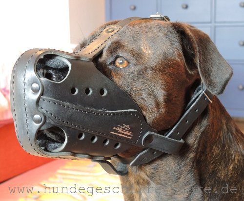 Robuster Hundemaulkorb Leder für Alltag und Dienst mit Schnalle