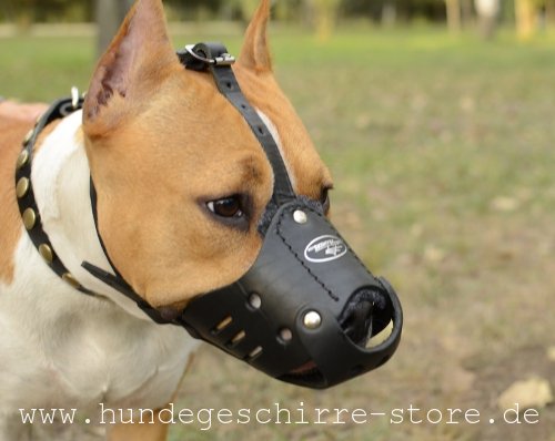 Comfortable leather muzzle