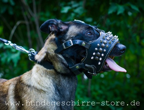 Designer Muzzle of Leather