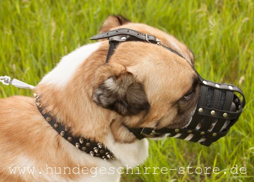 Hundemaulkorb aus Leder in Lederstreifen Design mit Stirnriemen und Dornschnallen