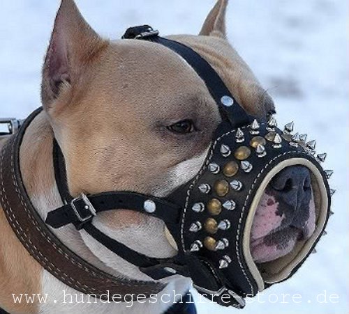 studded Muzzle Leather