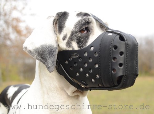 Geschlossener Hundemaulkorb aus Leder für Schutzhunde und Resozialisierung