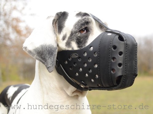 Comfortable leather muzzle