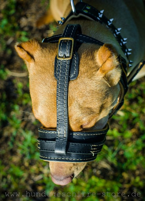 Bequemer Maulkorb aus Leder schön