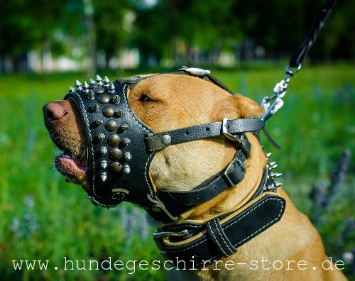 Leather muzzle comfortable