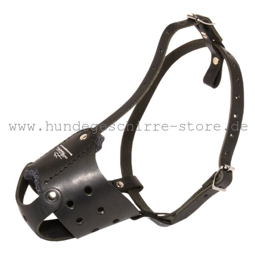 Muzzle Leather safe