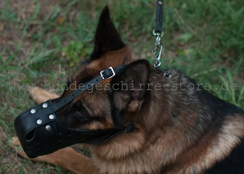 Ledermaulkorb für Hund geschlossen mit Stahlschiene für Bisspräverntion