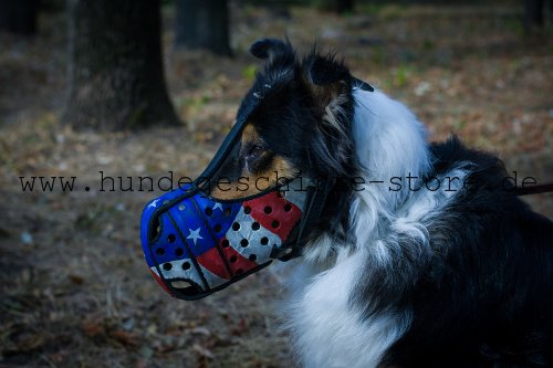 Leder Maulkorb K9 mit USA Flagge