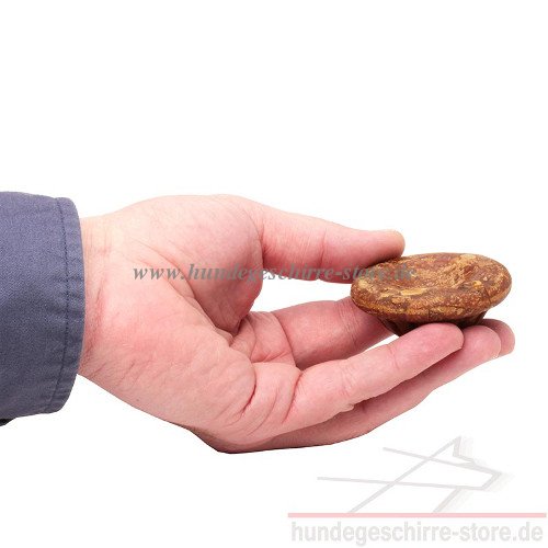 dog snacks with chicken flavor