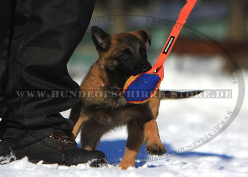 weiches Hundespielzeug Deutschland