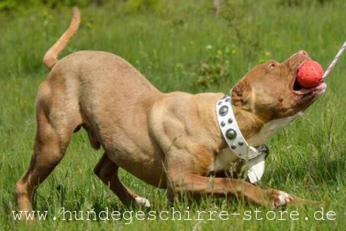 Spielball aus Gummi mit Schnur