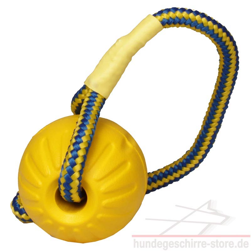 Schaumgummiball für Hunde. Unkaputtbar