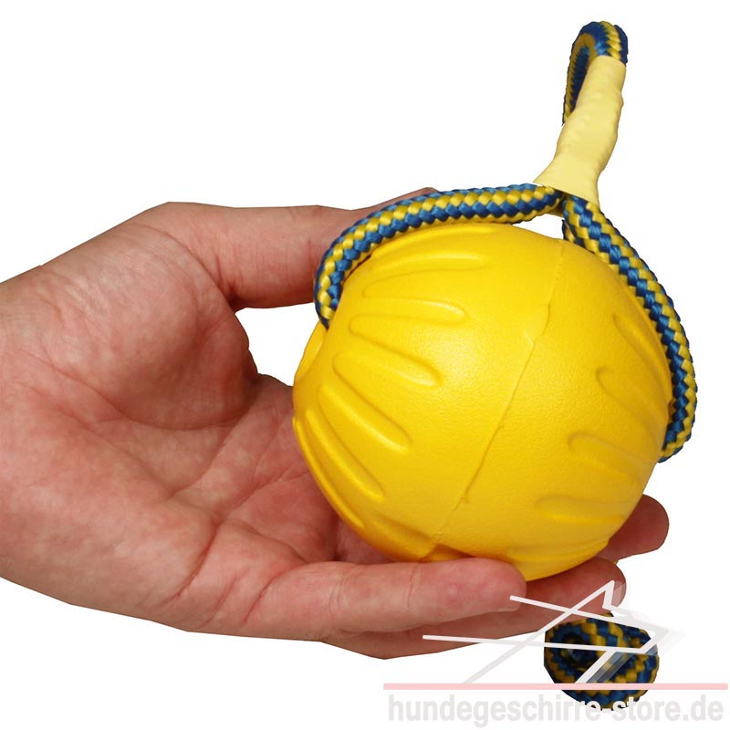 Schaumgummiball für Hunde. Unkaputtbar