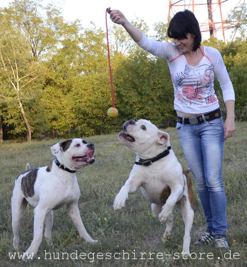 Spielball mit Schnur für Hunde