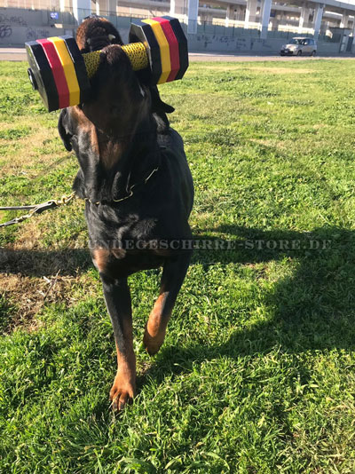 Apportier Hantel für Rottweiler kaufen Deutschland