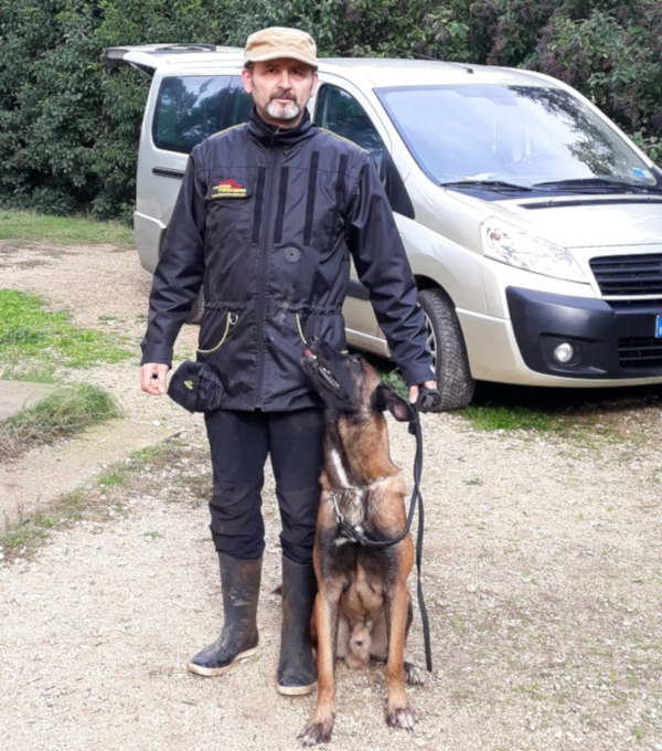 Hundesport Jacke international geliefert Deutschland