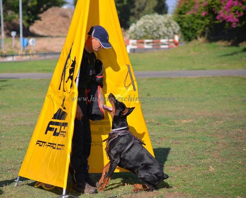 Schutzhund Versteck 2 Meter hoch