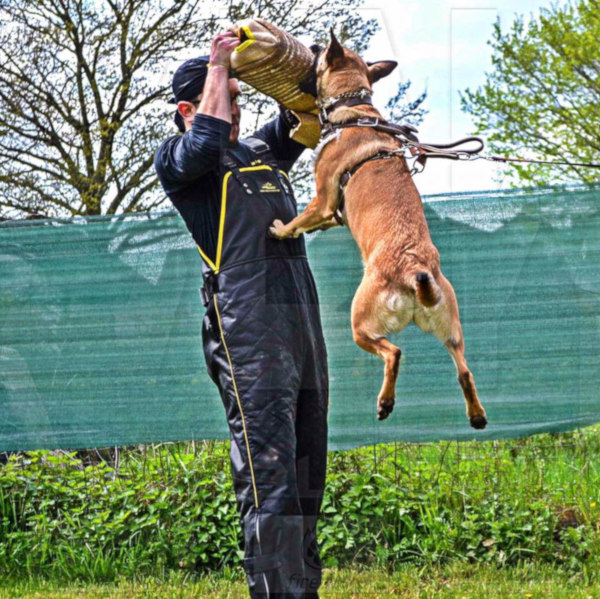 K9 Hose für Hundeausbildung kaufen online